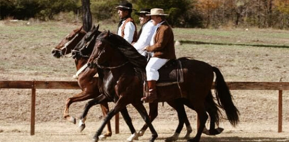 Montar Caballo Peruano de Paso