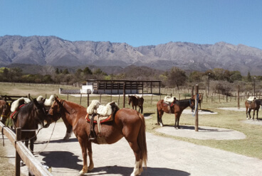 Our own equestrian centres