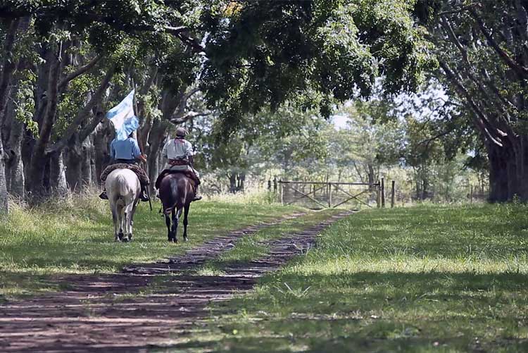 Paseo a caballo