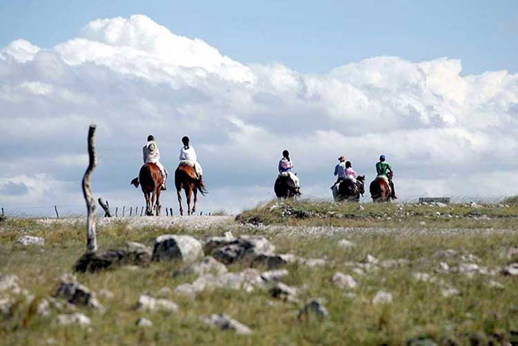 Paseo a caballo