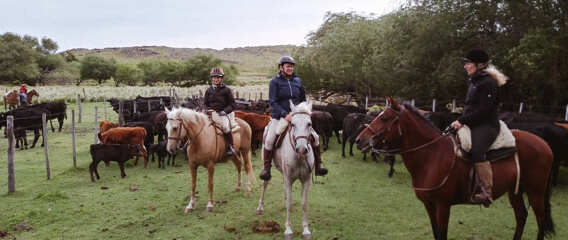 Horse riders