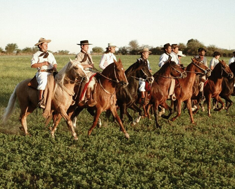 Nuestros caballos Peruanos de Paso
