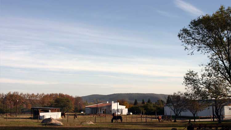 Reiten in Estancia Haras Ampascachi