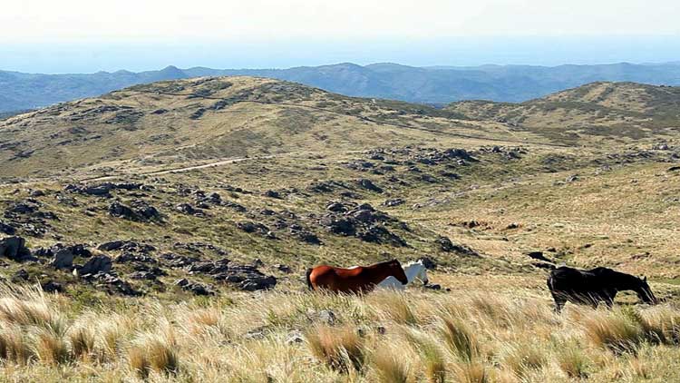 Valle de Traslasierra - Ampascachi