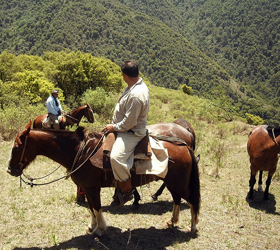 From the Lerma Valley to the Calchaquíes Valleys - Horse riding expeditions