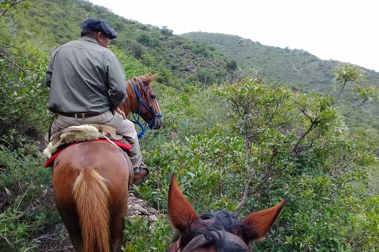 Aventure à cheval dans la Valle de Traslasierra - Expéditionnaire