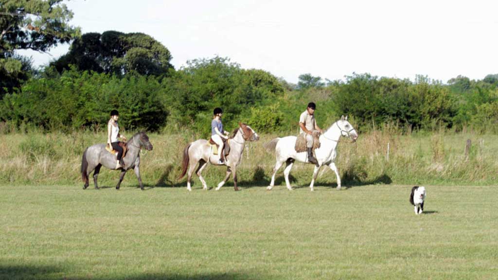 Extensión Pampa Gaucha - Ampascachi