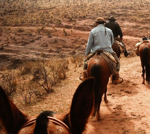 Salta y Valle de Lerma a Caballo