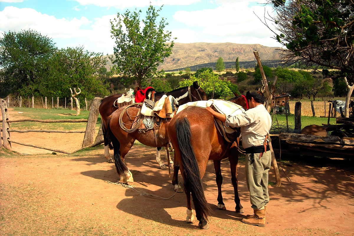 Vacaciones ecuestres en Valle de Lerma