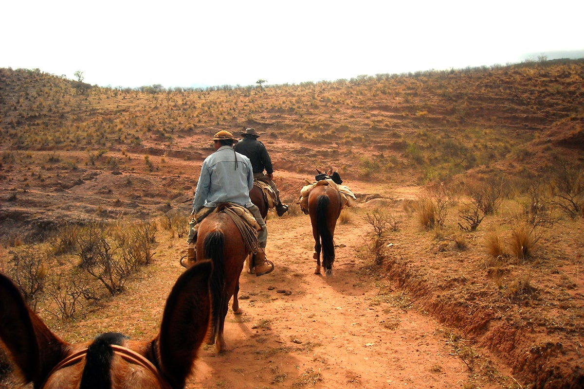 Cabalgar en el Valle de Lerma