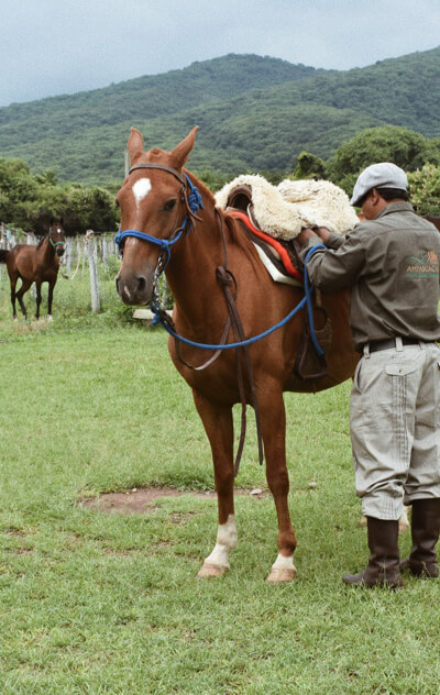 Vorteile, mit Ampascachi zu reiten