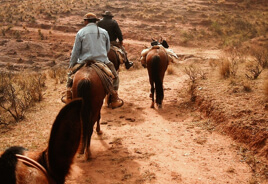 Salta and the Lerma Valley