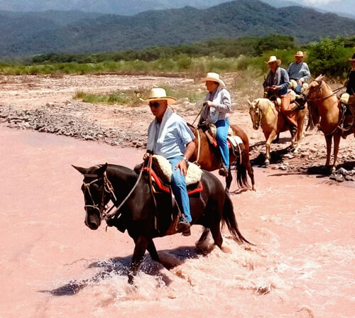 Vom Lerma-Tal bis ins Calchaqui-Tal zu Pferd