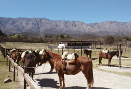 Aprende a cabalgar