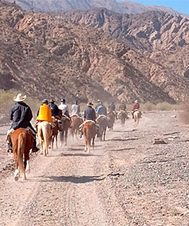 Rutas norte argentino