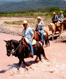 Vom Lerma-Tal bis ins Calchaqui-Tal zu Pferd